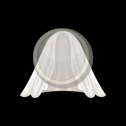 The Veiled Coin